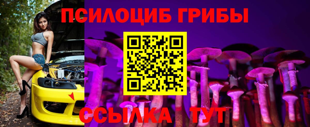 Псилоцибиновые грибы Psilocybe  Галлюциногенные грибы MAGIC MUSHROOMS  Уссурийск  Вход с VPN 